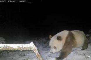 记者：武里南联老板和老板娘横行霸道，曾给越秀山“下降头”做法